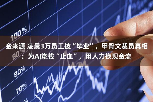 金来源 凌晨3万员工被“毕业”，甲骨文裁员真相：为AI烧钱“止血”，用人力换现金流