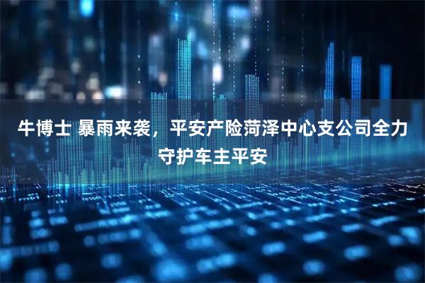 牛博士 暴雨来袭，平安产险菏泽中心支公司全力守护车主平安