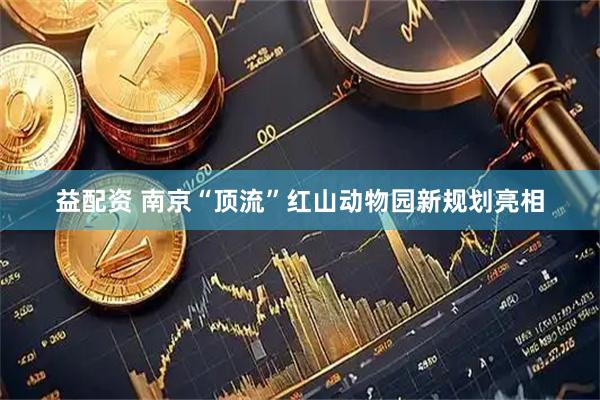 益配资 南京“顶流”红山动物园新规划亮相