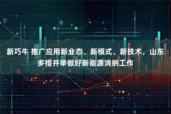 新巧牛 推广应用新业态、新模式、新技术，山东多措并举做好新能源消纳工作