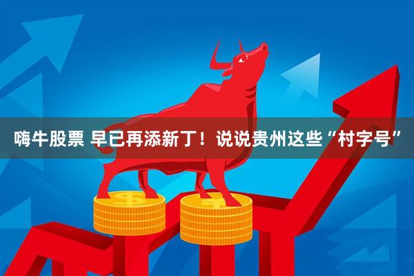 嗨牛股票 早已再添新丁！说说贵州这些“村字号”